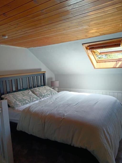 Dingle Escape -2 Bed -Sleeps 4 Apartment Bagian luar foto