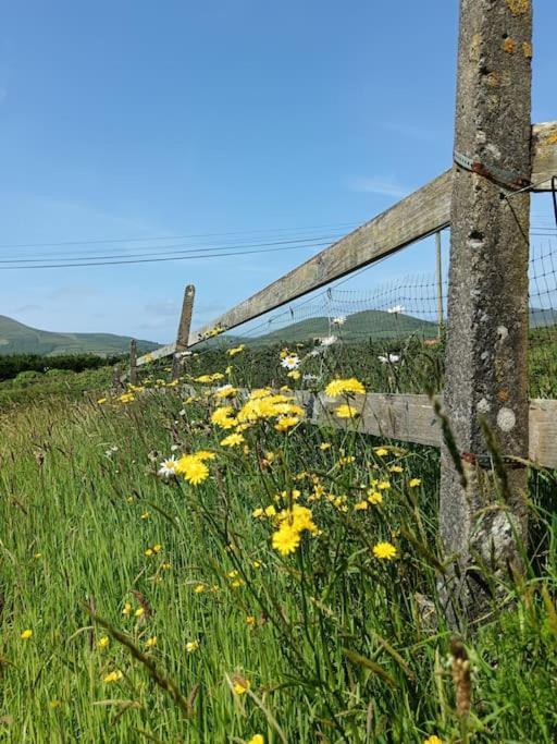 Dingle Escape -2 Bed -Sleeps 4 Apartment Bagian luar foto